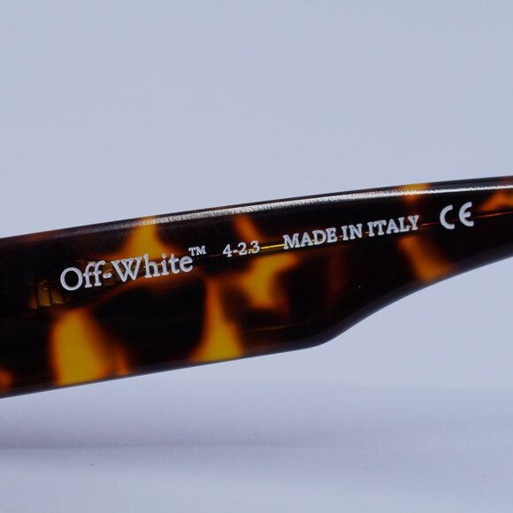 Off-White OERI087 AMALFI 6055 Sunglasses Havana Oval Frame, Green Lenses main image 7